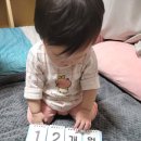 금호지 생태공원 | 오티/보육료 전환신청/어린이집 입소/어린이집 적응기간/베베쿡 한우 소보로/킨즈 험비 웨건/금호지 하모