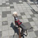 옳치 올치 이미지