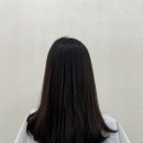 라인컷 이미지