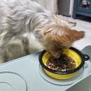 투플러피 이미지