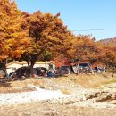 벌곡오토캠핑장 이미지