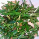 아신당 이미지