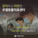 헬릭스동물심장수술센터 | 진해 석동 동물병원 노령 심장질환 환자의 자궁축농증 수술, 신속한 판단이 만든 최상의 결과