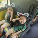 노블키즈유치원 이미지