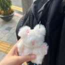 재경농장 | 24년 여름, 일상 두 조각