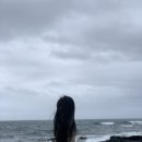 바로이집 이미지