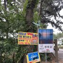 만리포 포장마차 이미지