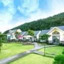 강애산애 이미지