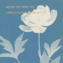 아름다운 것은 영원한 기쁨 A thing of beauty is a joy for ever -김영랑 저자(글) · 안선재 번역 이미지