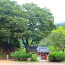 장릉청솔식당 이미지