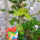 왈종미술관 이미지