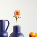 디자인라위 이미지