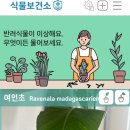 디씨플랜