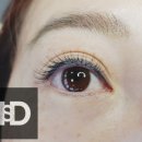 뚱슈헤나 이미지