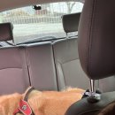 902댕스쿨 | ### 🐶 반려동물 이동 서비스 이용 후기 🐾