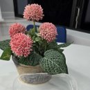 오목안경원 이미지