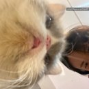 현진한의원 | 충격과 절망이 가득한 왕십리한의원 8체질검사 후기