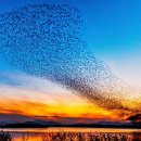 메인프라자 이미지