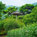 고성리마을회관 이미지