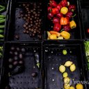 독일제과점 이미지