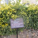 동성공원 이미지