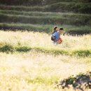 빠담빠담