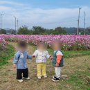 코스모스 어린이집 이미지