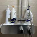 도래울석탄공원 화장실 | 문경 가족여행 한옥갬성 독채펜션 고요한옥펜션