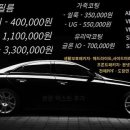 틴팅가이 이미지