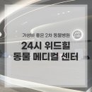 24시 위드힐동물메디컬센터 네이버블로그