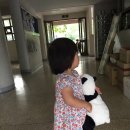 훈훈한 과일 중동 | [짱짱이 육아일기] 598일