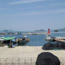 평인일주로가로수 이미지