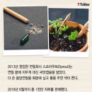 몽당연필 이미지