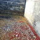 임씨 가묘 이미지