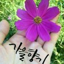 국밥집 - 인제군 금강로26번길 22 | 국밥집