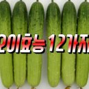 멋찐여우 이미지