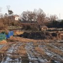 교동면-4 이미지