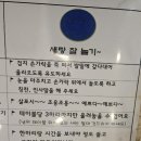 리프패럿 롯데마트 광복점 이미지