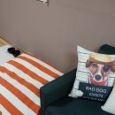 아임버디B 이미지