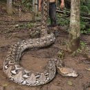 gc-camera-053 이미지