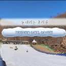 초리골협동조합 이미지