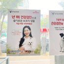 송담동물병원 네이버블로그