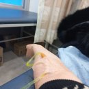 에코르파밀리에의원 이미지