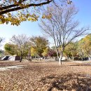 별빛 오토 캠핑장 이미지