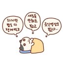 라차차 이미지