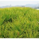 오포리농장 이미지