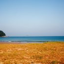 구례포 야영장 이미지