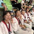 용인대 강한태권도장 이미지