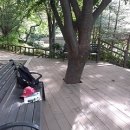 숲속 아지트 이미지