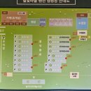 횡성 별빛마을 캠핑장 | 청도 캠핑장 나무그늘이 좋은 별빛마을캠핑장 후기